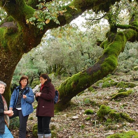 Auberge Dardara Derdara Dış mekan fotoğraf