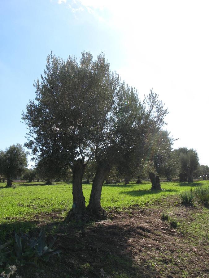 Auberge Dardara Derdara Dış mekan fotoğraf