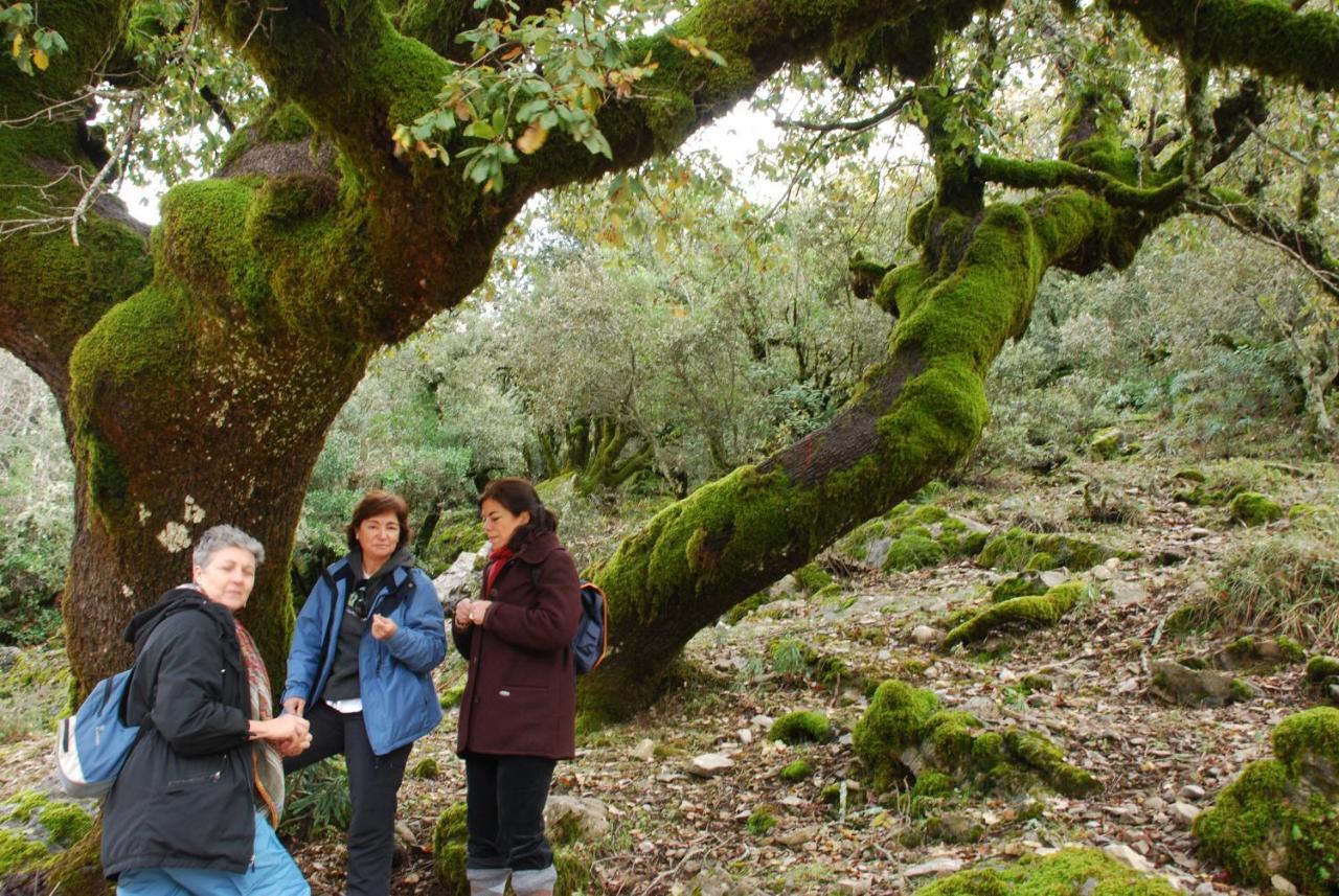 Auberge Dardara Derdara Dış mekan fotoğraf
