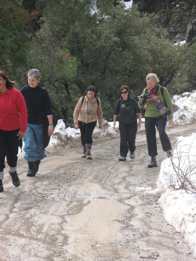 Auberge Dardara Derdara Dış mekan fotoğraf