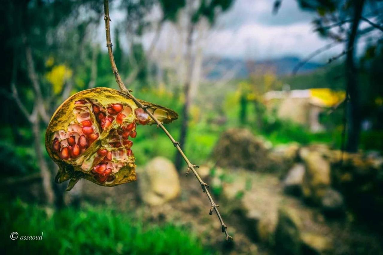 Auberge Dardara Derdara Dış mekan fotoğraf