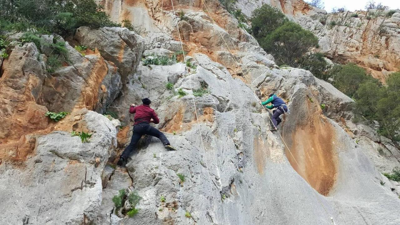 Auberge Dardara Derdara Dış mekan fotoğraf